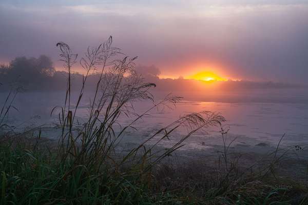 ทิวทัศน์ธรรมชาติสงบในช่วงเช้า พร้อมแสงอ่อนและบรรยากาศผ่อนคลาย